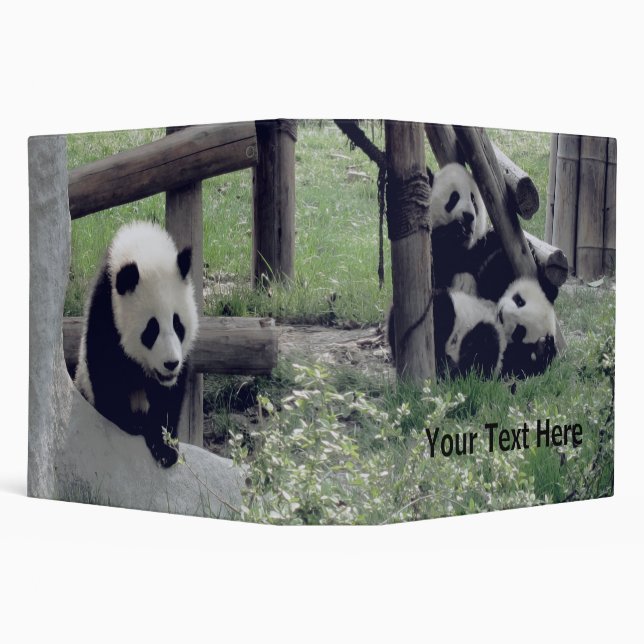 Three Baby Pandas - Personalizable Binder (Background)