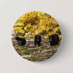 Three Bears 2 Inch Round Button