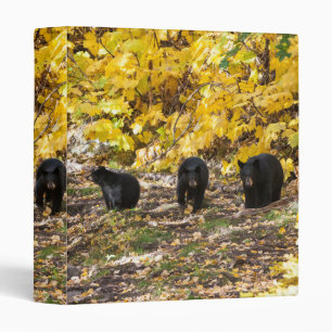 Three Bears Binder