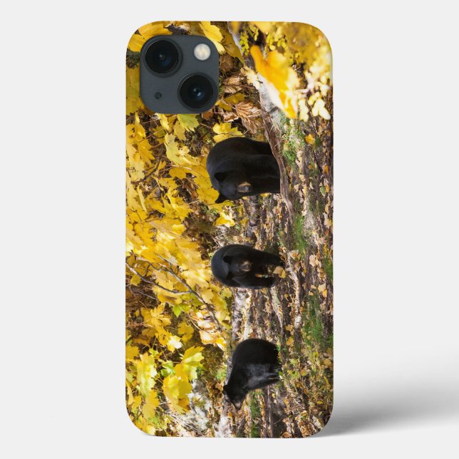 Three Bears Case-Mate iPhone Case (Back)