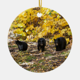Three Bears Ceramic Ornament