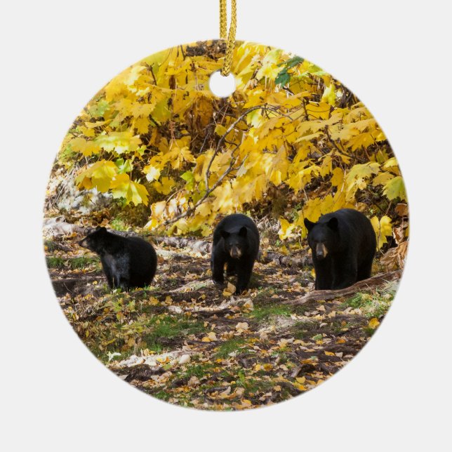 Three Bears Ceramic Ornament (Front)