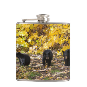 Three Bears Hip Flask