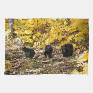 Three Bears Kitchen Towel