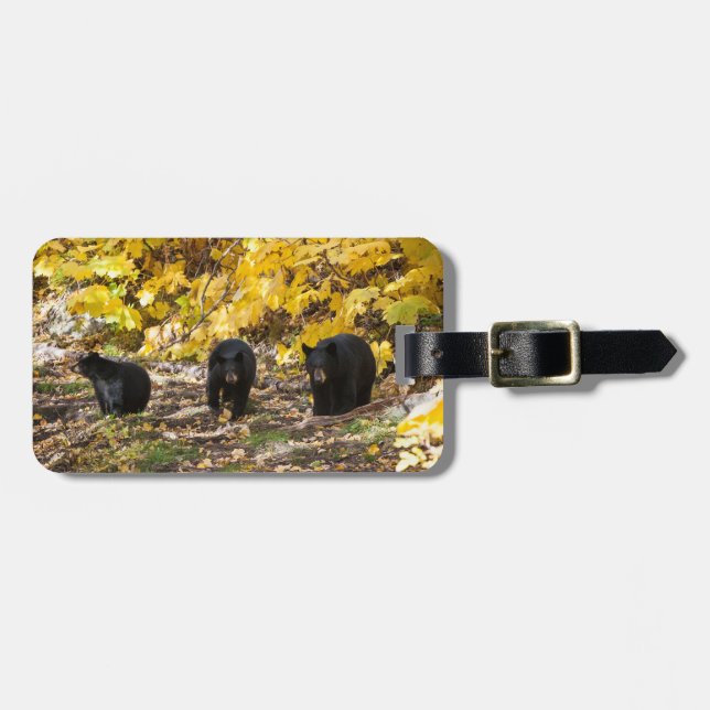 Three Bears Luggage Tag (Front Horizontal)