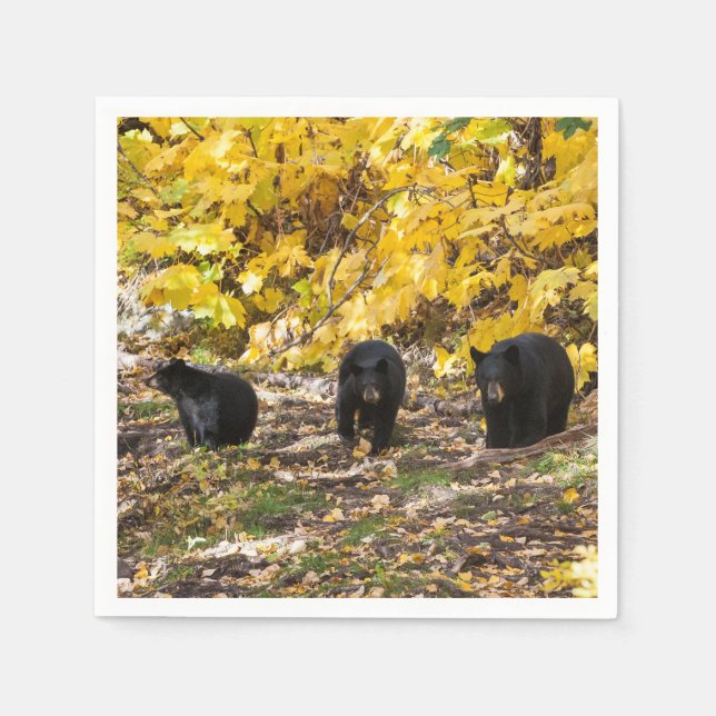 Three Bears Napkin (Front)