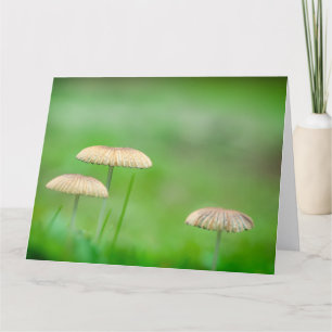 Three beautiful wild mushroom in an autumn field thank you card