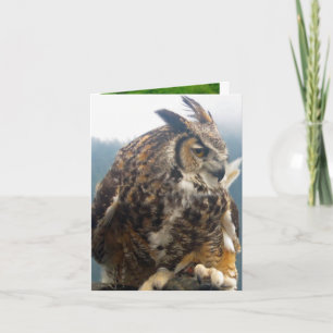 Three Bird all occasion Note Card