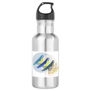 Three Birds 532 Ml Water Bottle
