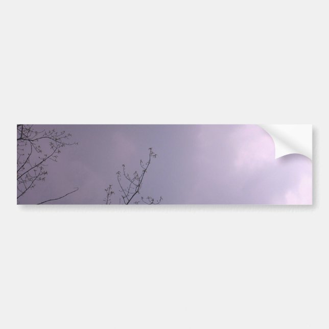 Three Birds Fly So high Bumper Sticker (Front)