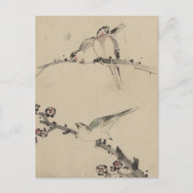 Three Birds on a Branch, One with Blossoms Postcard (Front)
