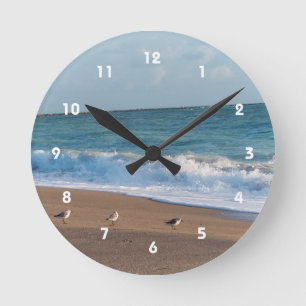 three birds on shore photo florida beach round clock