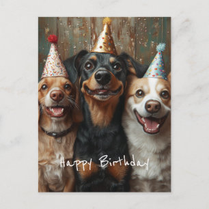 Three Birthday Dogs Postcard