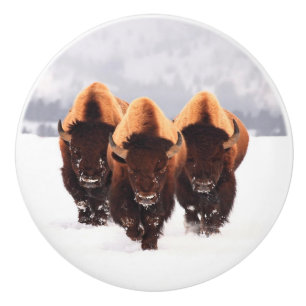 Three Bison Ceramic Knob