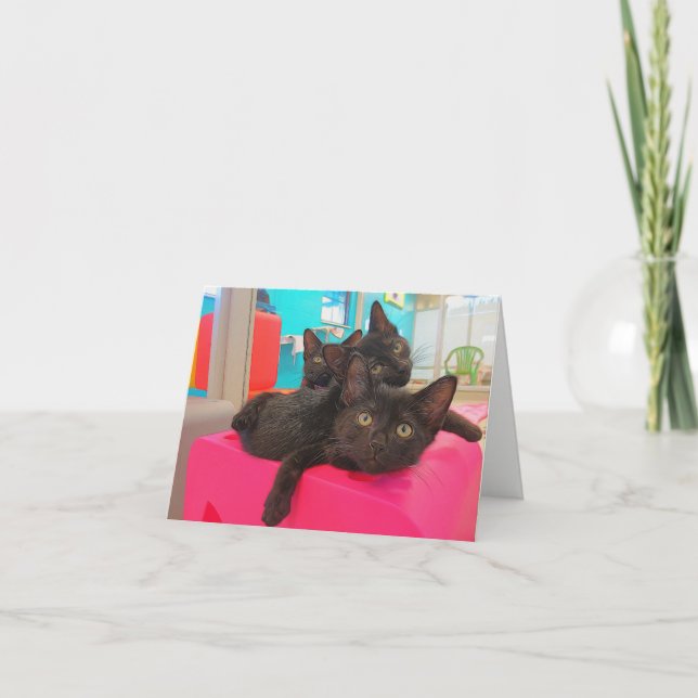Three Black Kittens Card (Front)