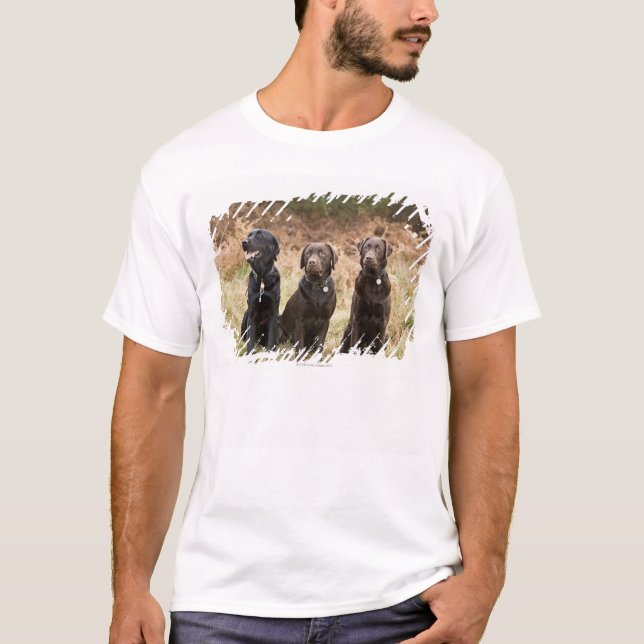 Three Black Labrador retrievers T-Shirt (Front)