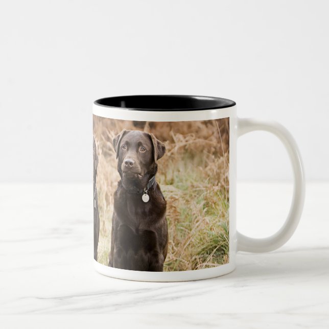 Three Black Labrador retrievers Two-Tone Coffee Mug (Right)
