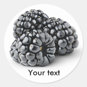 Three blackberries classic round sticker