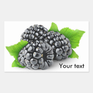 Three blackberries with leaves sticker