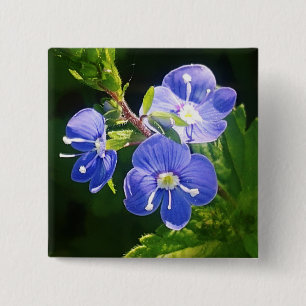 Three Blue Flowers 2 Inch Square Button