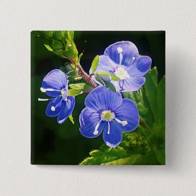 Three Blue Flowers  2 Inch Square Button (Front)
