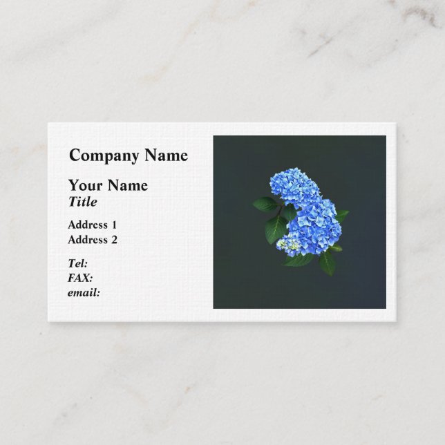 Three Blue Hydrangea Business Card (Front)