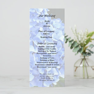 Three Blue Hydrangea Program