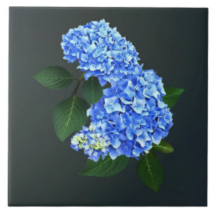 Three Blue Hydrangea Tile