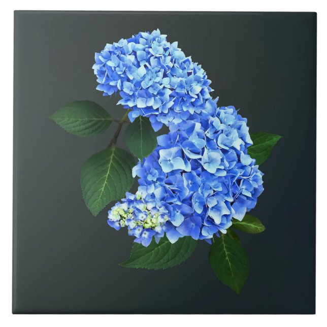 Three Blue Hydrangea Tile (Front)