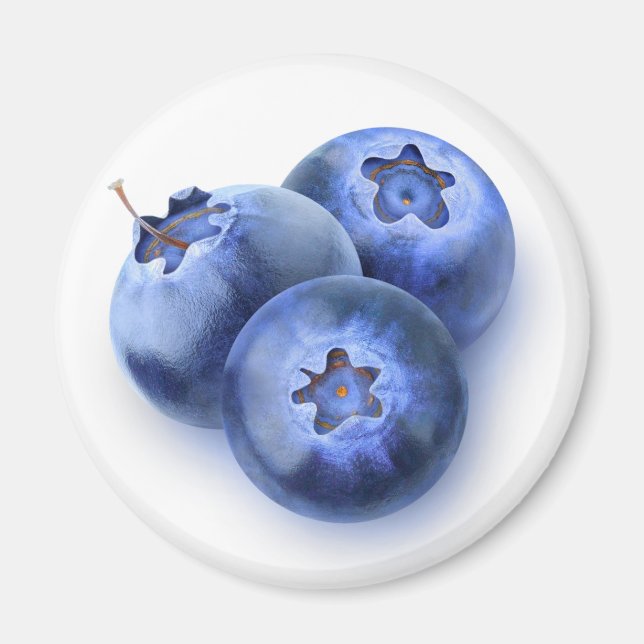 Three blueberries magnet (Front)
