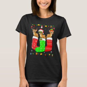 Three Bobcats In Christmas Socks Matching Xmas Paj T-Shirt