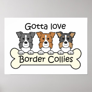 Three Border Collies Poster