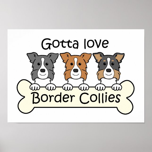 Three Border Collies Poster (Front)
