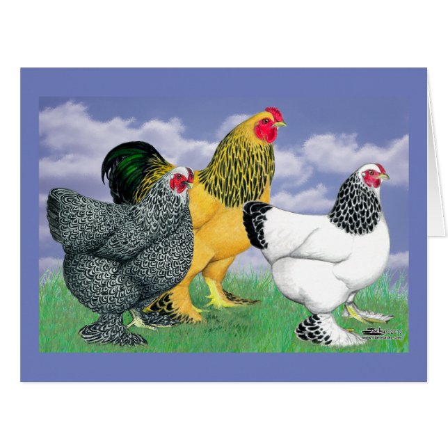 Three Brahmas (Front Horizontal)