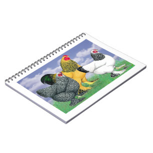 Three Brahmas Notebook