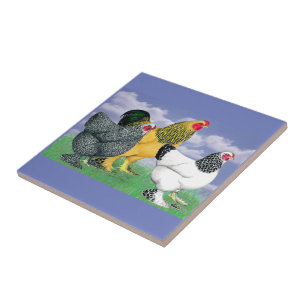 Three Brahmas Tile