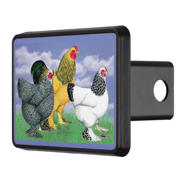 Three Brahmas Trailer Hitch Cover (Left)