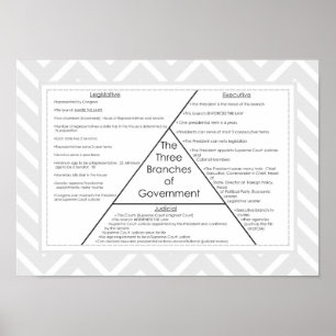 Three Branches of Government Poster