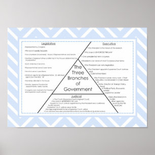Three Branches of Government Poster