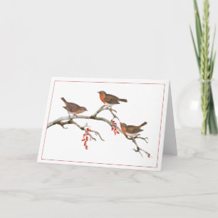 Three Brown Birds on a Winter Berry Branch Card