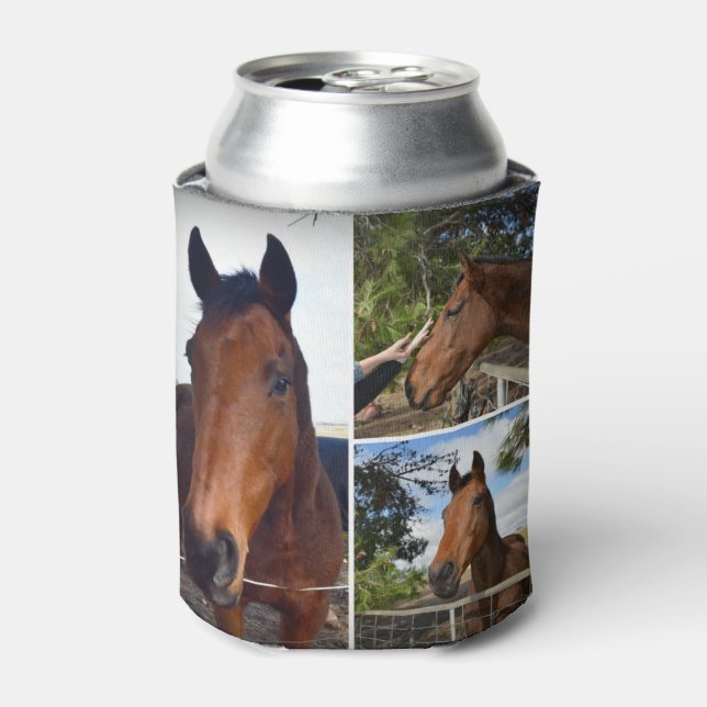 Three Brown Horses, Can Cooler (Can Front)