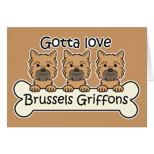 Three Brussels Griffons