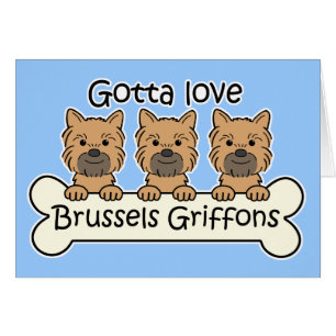 Three Brussels Griffons