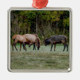 Three Bull Elk Fight Metal Ornament