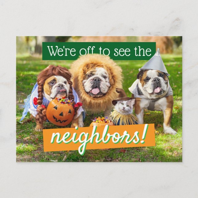 Three Bulldogs in Costumes Invitation Postcard (Front)
