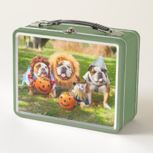 Three Bulldogs in Costumes Metal Lunch Box