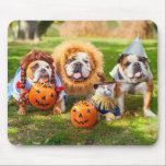 Three Bulldogs in Costumes Mouse Pad<br><div class="desc">We're off to see the neighbours! | Avanti,  the Global Humour Brand™ has been entertaining the world with its Feel Good Funny greeting cards for over 40 years. Our characters live life to the fullest and celebrate the humour in everyday life.</div>