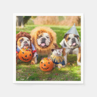 Three Bulldogs in Costumes