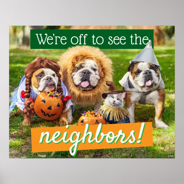 Three Bulldogs in Costumes Poster (Front)