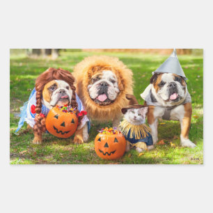Three Bulldogs in Costumes Sticker